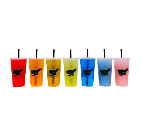 SalTea Sloth: Product image 3