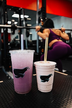 SalTea Sloth: Product image 1